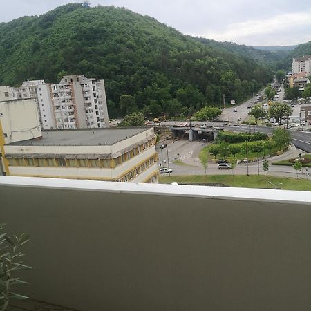 Penthouse Luxury Apartment Решица Екстериор снимка
